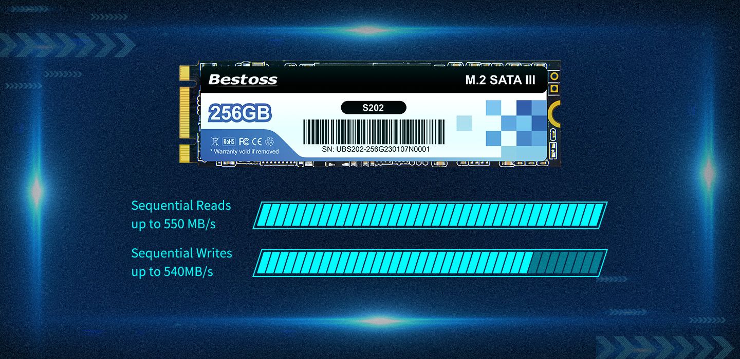 S202 M.2 SATA 2280 SSD 