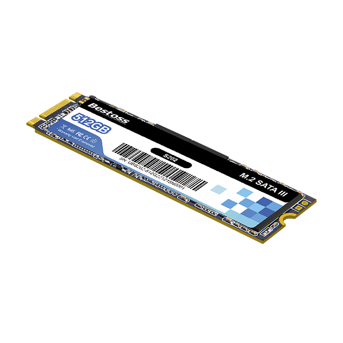 S202 960GB SATA M.2 SSD